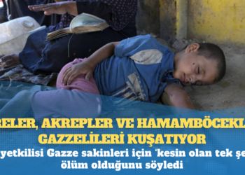 Fareler, akrepler ve hamamböcekleri Gazzelileri kuşatıyor