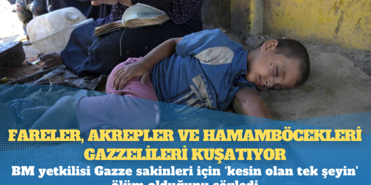 Fareler, akrepler ve hamamböcekleri Gazzelileri kuşatıyor