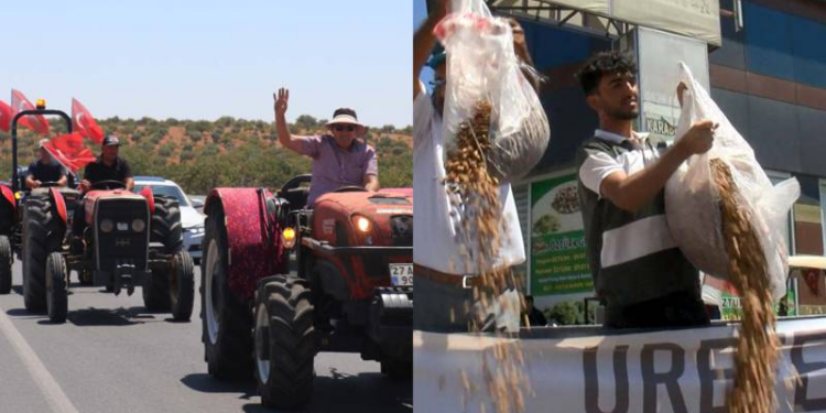 Fiyatlara tepki gösterip, çuvallar dolusu fıstıkları yere döktüler