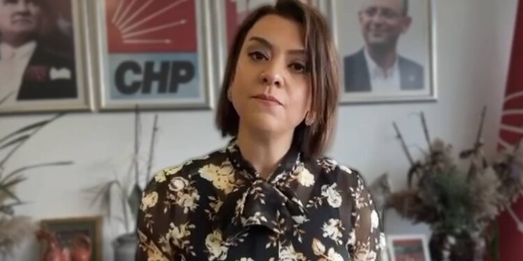 Gamze Taşcıer, TÜİK yöneticileri hakkında soruşturmaya yer olmadığı kararına itiraz etti