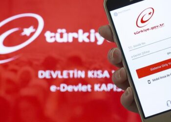 Gelir İdaresi Başkanlığı açıkladı: e-devlet ücretli mi oluyor?