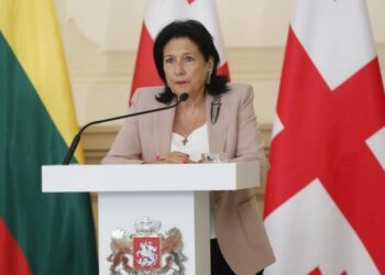 Gürcistan Cumhurbaşkanı: Ekim ayındaki seçim son şansımız