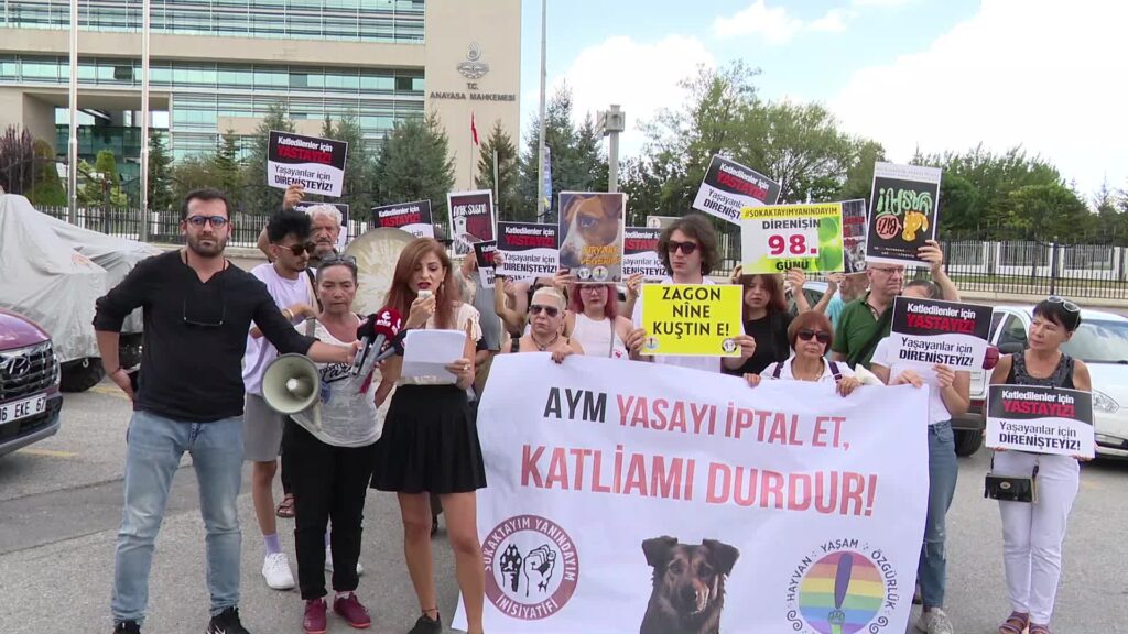 Hayvanseverlerden AYM önünde protesto: “Kaybedecek bir dakika bile kalmadı”