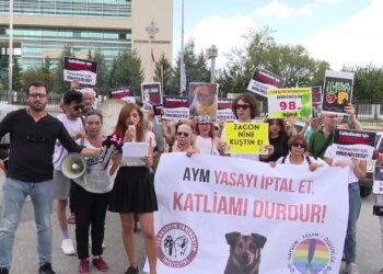 Hayvanseverlerden AYM önünde protesto: “Kaybedecek bir dakika bile kalmadı”