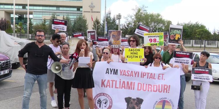 Hayvanseverlerden AYM önünde protesto: “Kaybedecek bir dakika bile kalmadı”