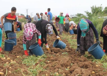 Herkes gibi bizim de yaşamaya hakkımız var!