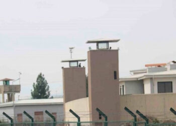 CHP Milletvekili Pala: Hükümlü ve tutukluların sağlık hizmetlerine erişim sorunlarına yanıt alınamıyor