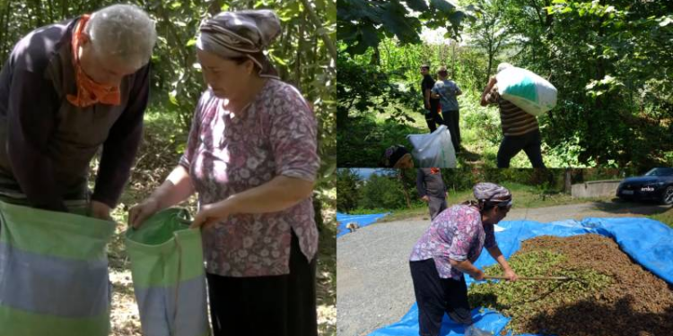 İnsanların kendi coğrafyalarına tutunabilmeleri engelleniyor