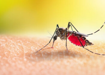 İspanya'da Batı Nil Virüsü Alarmı! Ölümler Başladı