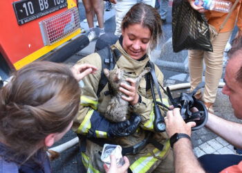 Kahraman İtfaiyeci, Kedinin Hayatını Kurtardı