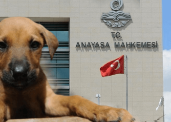 'Kanlı Yasa' AYM'de: CHP'den 180 Sayfalık Dilekçe