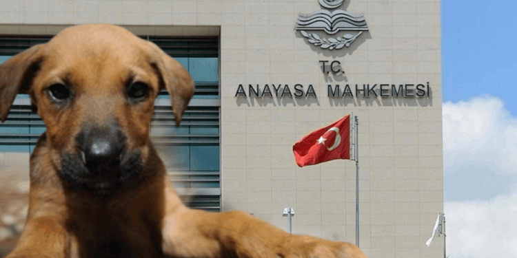 'Kanlı Yasa' AYM'de: CHP'den 180 Sayfalık Dilekçe