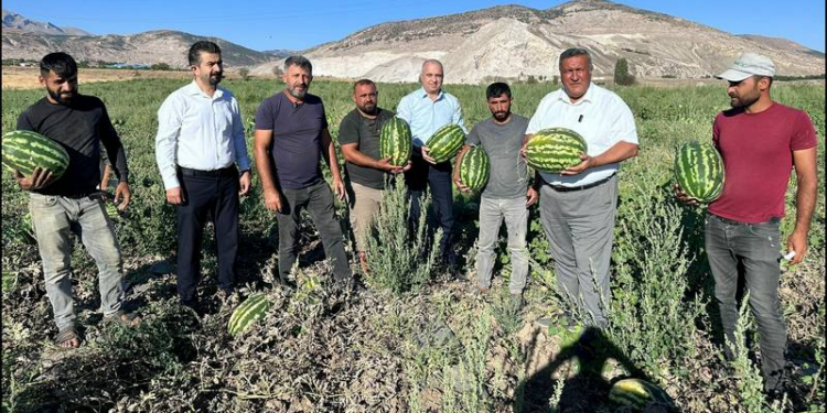 Karpuzun maliyeti beş lira, tüccar bir liraya alıyor, pazarda 15 liraya satıyor
