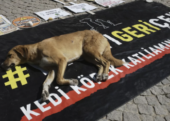 Katliam ve esaret, tabii hukuka aykırı kanunlarla meşrulaştırılamaz