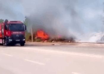 Kocaeli'deki Ağaçlık Alan Yangını Büyümeden Söndürüldü