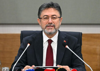 Köpek Katliamlarıyla İlgili Hükümetten Yeni Açıklama: Belediyeler İşini Yapıyor, Kaosa Prim Vermeyeceğiz