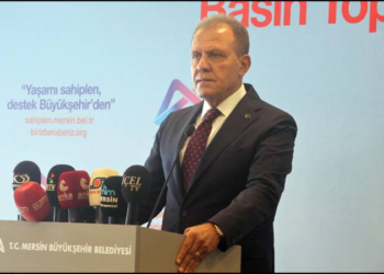 Köpek sahiplenenlere kısırlaştırma, mama ve bakım desteği verilecek