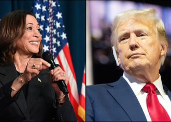 Kritik Eyaletlerde Oy Oranı Belli Oldu! Trump mı Harris mi?