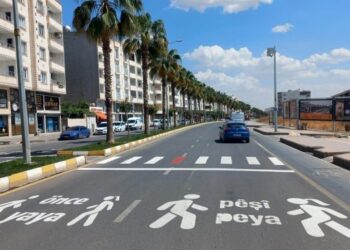 'Kürtçeyi yaygınlaştırarak saldırılara cevap vermeliyiz'