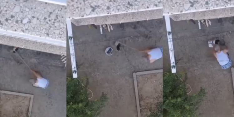 Manisa'da Vahşet! 3 Yavru Kediyi Sopayla Vurarak Katletti
