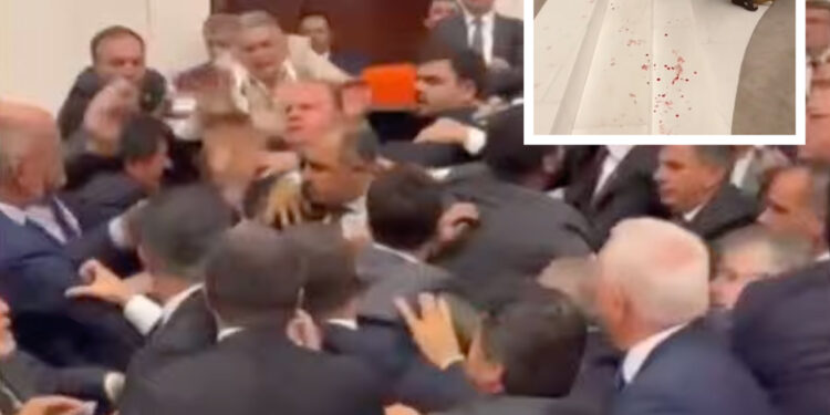 Meclis’te kan döküldü; ilk yumruğu AKP’li Alpay Özalan attı