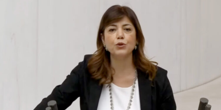 Meral Danış Beştaş, İl Jandarma Komutanı’nın sözlerini hatırlatıp sordu: “Narin nerede?”