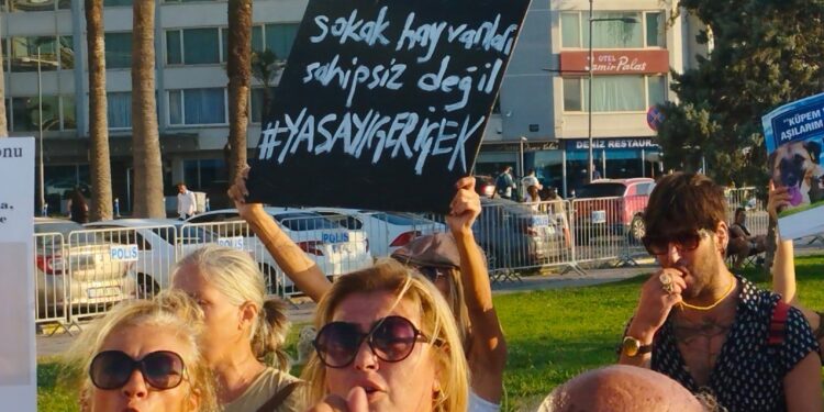 Merhametle bir yasa düzenlemesi yapalım