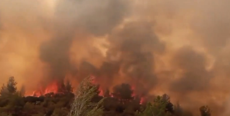 Muğla’nın iki ilçesinde orman yangını: İki mahalle boşaltıldı