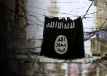 Müslüman Kardeşler üyesi, Türkiye vatandaşı oldu; IŞİD’den gözaltına alındı