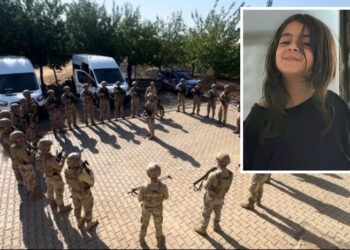 Narin 8 gündür aranıyor, 1 şüpheli gözaltına alındı: “Sonuca çok yaklaştık”