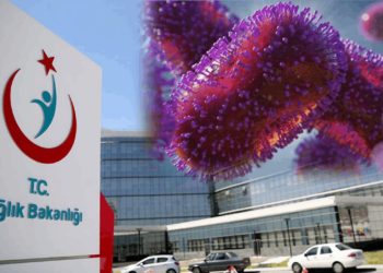 Nasıl Bulaşır, Nasıl Tedavi Edilir?