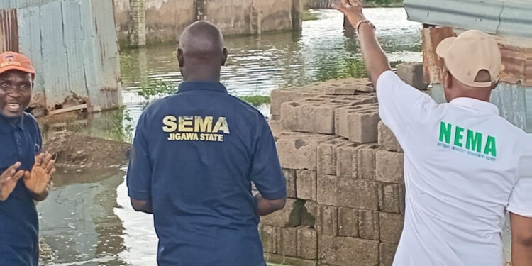 Nijerya'da Sel Felaketi: 179 Kişi Hayatını Kaybetti