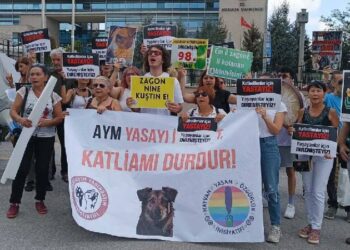 Öldürmenin yasası olmaz! Kandan başka bir şey vermeyen kanun geri çekilsin