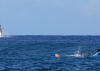 Paris Yaz Olimpiyat Oyunları'nda beklenmedik konuk: Sörf yarışlarına katılan bir balina ters takla attı