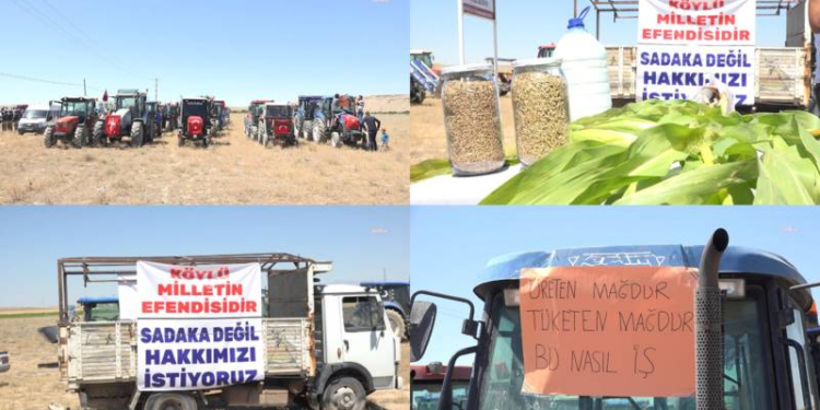 Sadaka değil, terimizin karşılığını istiyoruz!