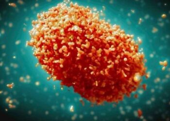 Sağlık Bakanlığı maymun çiçeği hastalığı için rehber yayımladı