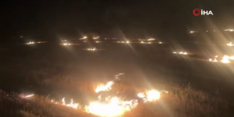 Sivas'ta Anız Yangını: Küreğini Kapan Yangına Koştu