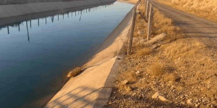 Sulama Kanalına Giren Çocuktan Acı Haber