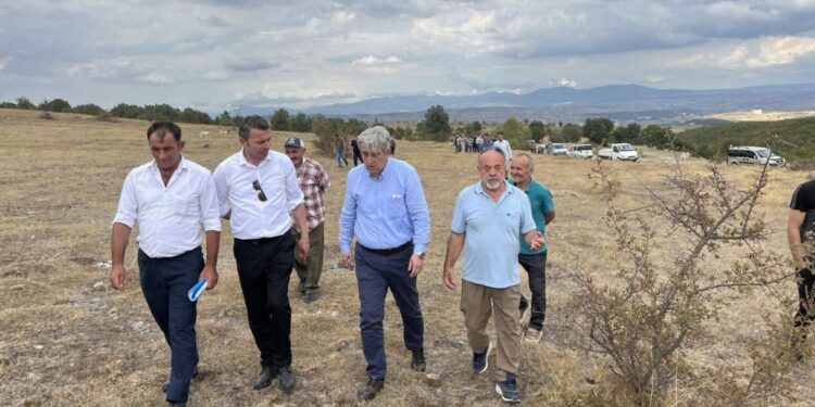 "Tarım Türkiye'de son elli yılın en kötüsünü yaşıyor"