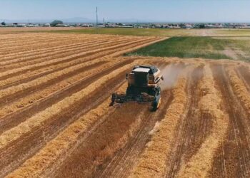 Tarım ve Orman Bakanlığı, üst üste 2 yıl işlenmeyen tarım arazilerini kiraya verecek