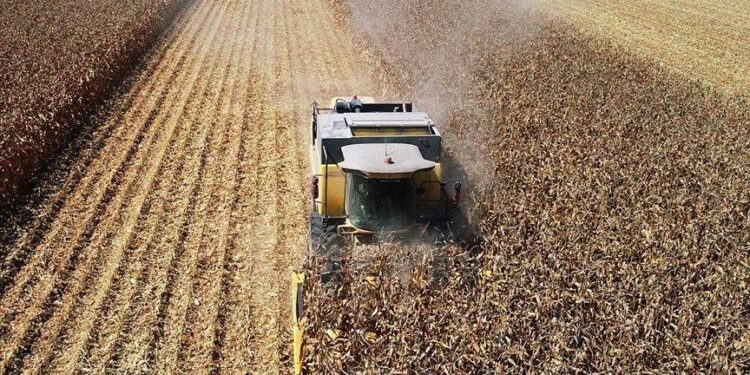 Temmuz ayı tarımda üretici enflasyonu belli oldu