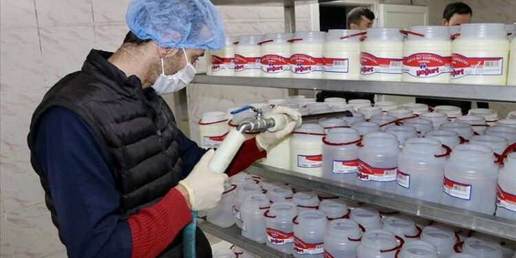 Tonya'nın süt devi mali nedenlerden dolayı kapısına kilit vurdu