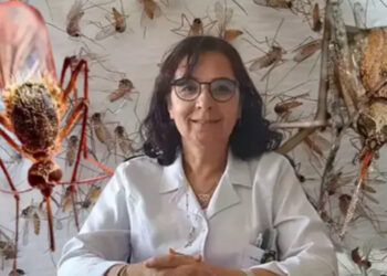 Batı Nil virüsü uyarısı: Türkiye’de de vakalar görülmeye başlandı, maymun çiçeğinden daha önemli