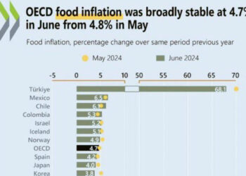 Türkiye’deki ‘gıda’ enflasyonu yine OECD’nin tablosuna sığmadı!