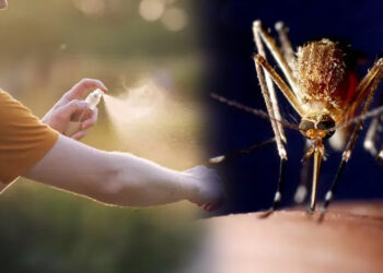 Türkiye'nin Neresi Daha Fazla Risk Altında?