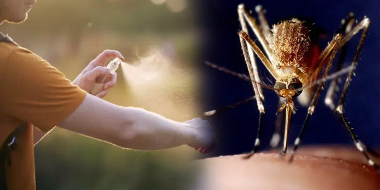 Türkiye'nin Neresi Daha Fazla Risk Altında?