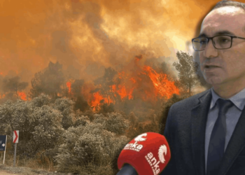 Uzman İsimden Orman Yangınları İçin Kritik Uyarı: Eylül Sonuna Kadar Dikkat