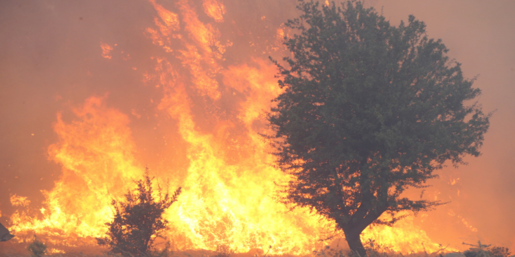 Yangın Bölgelerinde Hava Nasıl Olacak?
