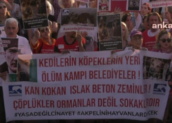 Yaşam Hakkı Savunucularından Kadıköy'de Eylem