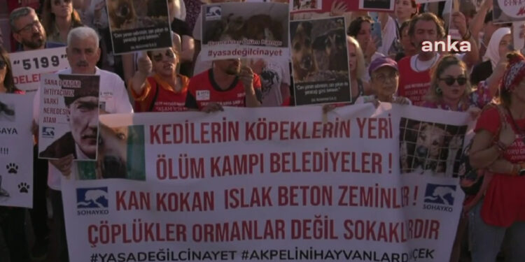 Yaşam Hakkı Savunucularından Kadıköy'de Eylem